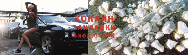 шишки Белокуриха