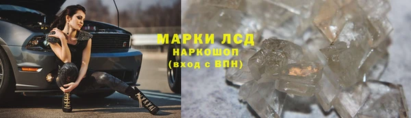 шишки Белокуриха