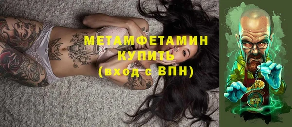 шишки Белокуриха