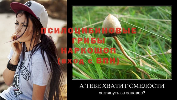 MDMA Premium VHQ Богданович