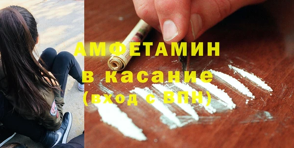 шишки Белокуриха