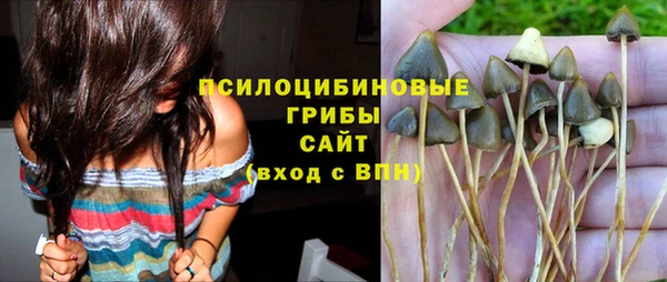 спайс Беломорск