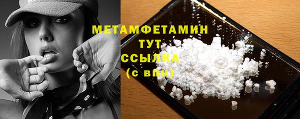 шишки Белокуриха