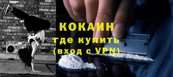 дживик Богородск